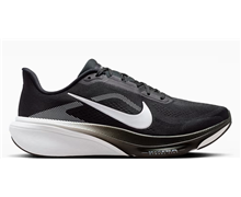 Pegasus 42